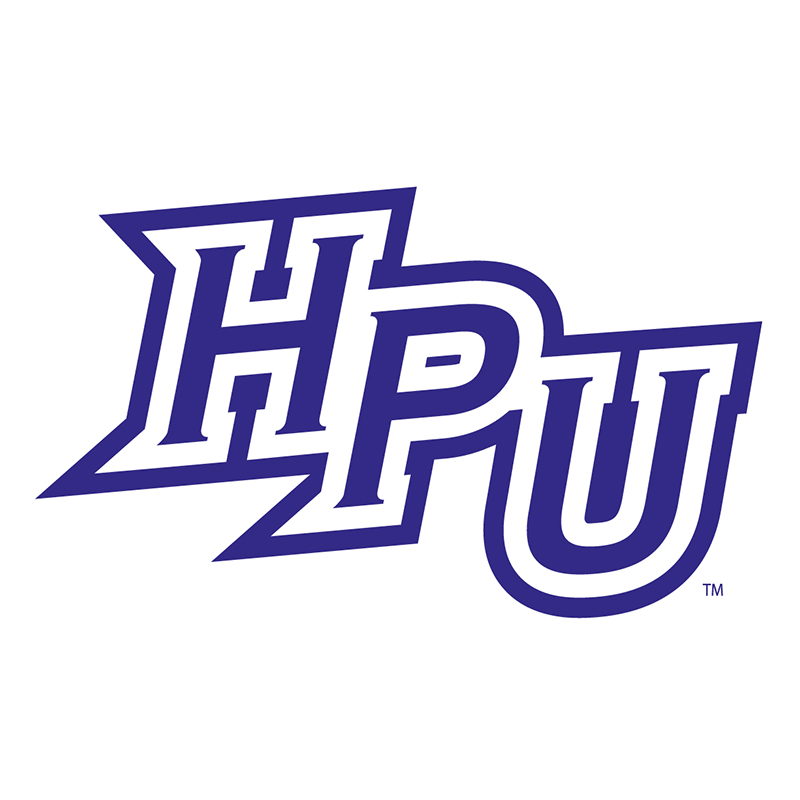 High Point Panthers iron ons